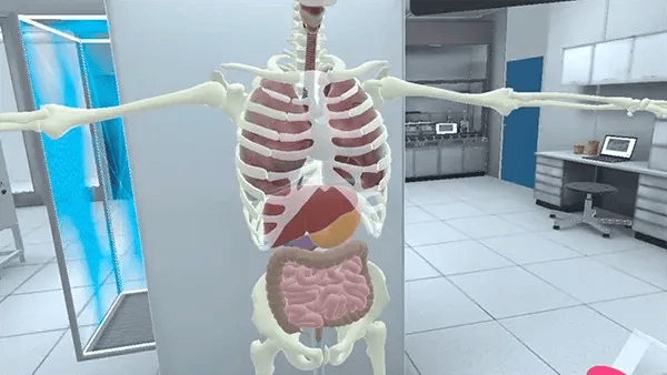 Anatomie-module_VRinSCHOOL